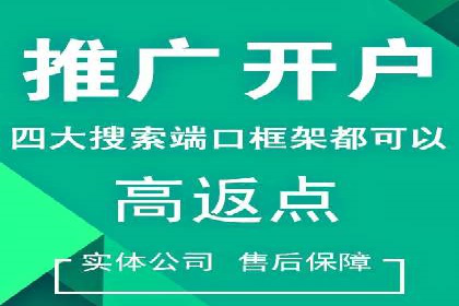 SEM竞价代运营案例：提升广告效果的关键策略
